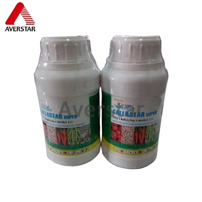 Proteja suas bananas das manchas das folhas com o fungicida Tebuconazol 25% EW A melhor escolha