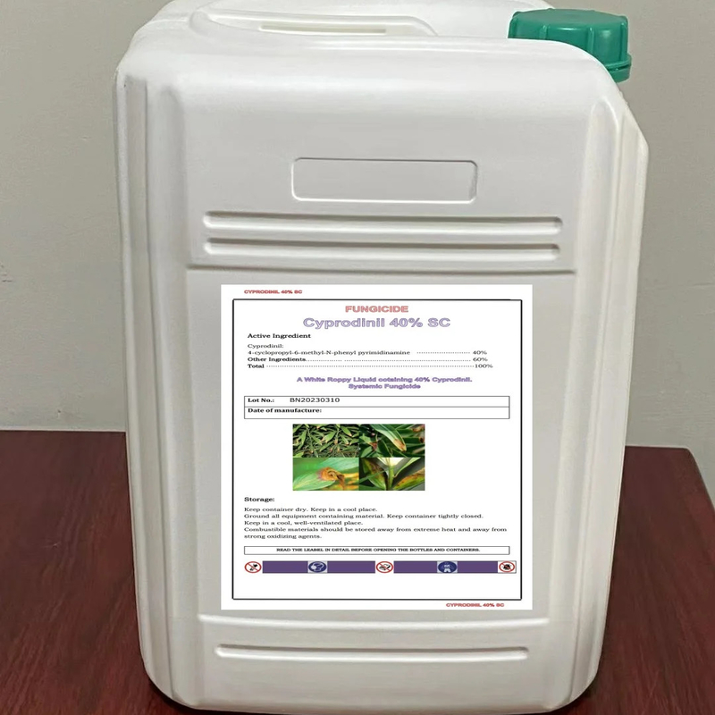 Solubilidade do cloroformo Cyprodinil 98% Tech Fungicida sistémico para controlo de doenças das culturas