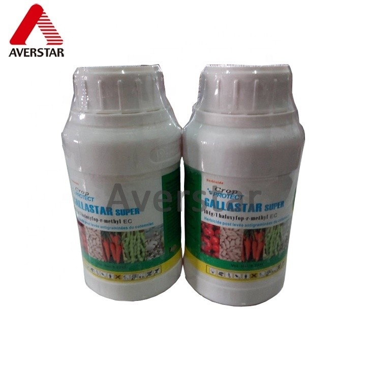 Proteja suas bananas das manchas das folhas com o fungicida Tebuconazol 25% EW A melhor escolha